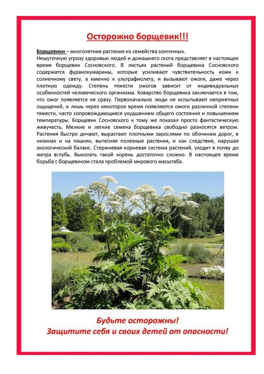 borshhevik_00001